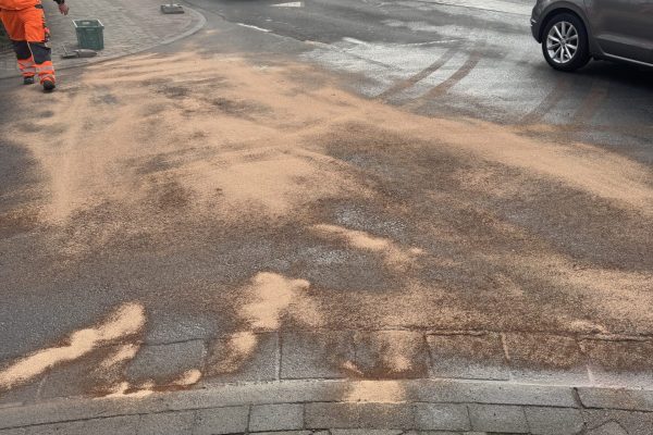 20251120_094448552_iOS