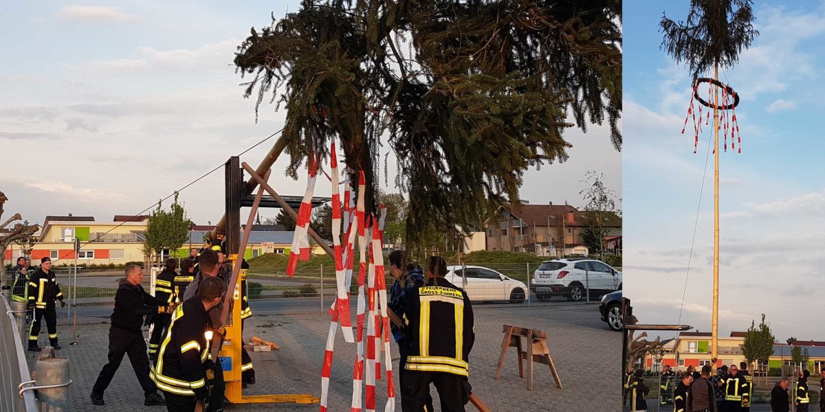 Maibaum_steht.jpg