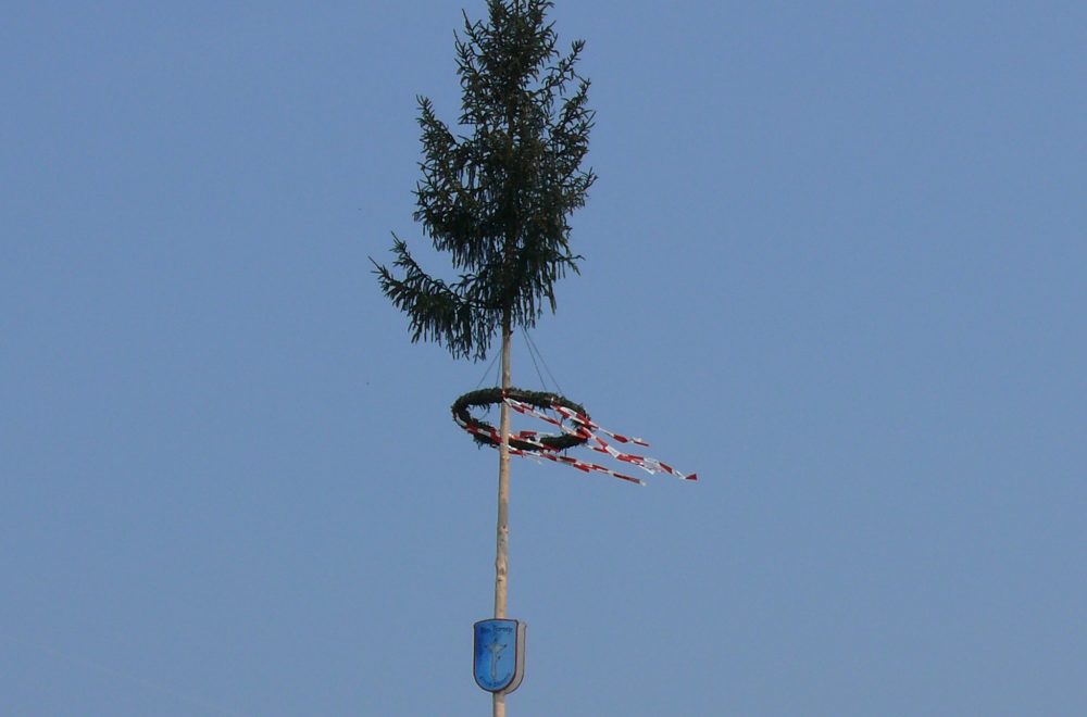 P1050690.jpg