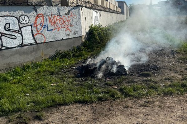 f0e09e67-a498-4a29-a6f7-019b538a2403